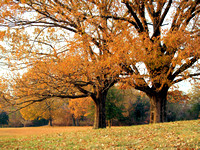 Yorktown Battlefield, Virginia