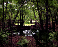 O'Leno State Park